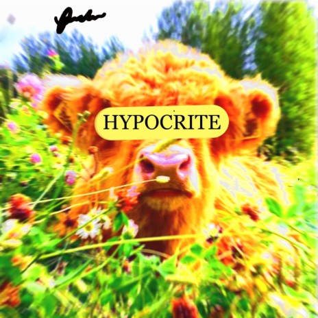 hypocrite | Boomplay Music