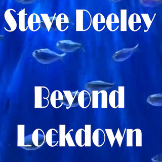 Beyond Lockdown