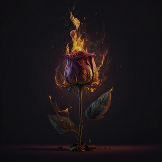 The Burning Rose