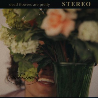 dead flowers are pretty (remastered)