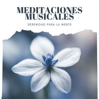 Meditaciones Musicales: Tranquilidad y Serenidad para la Mente