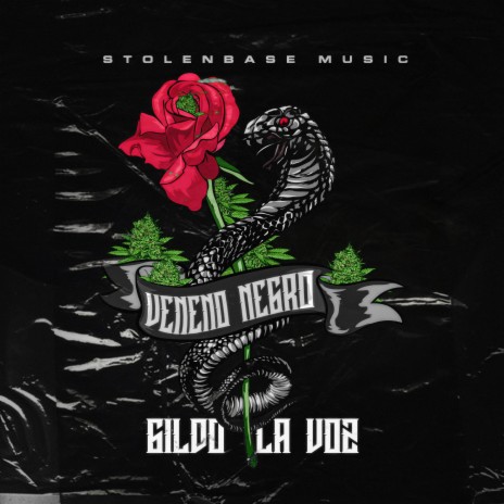 Veneno Negro | Boomplay Music
