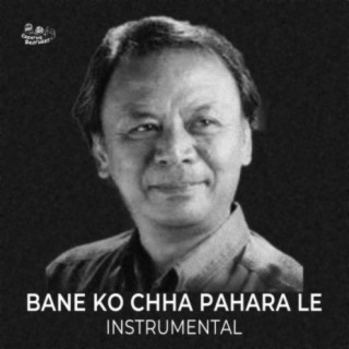 Baneko Cha Pahara Le (Instrumental)