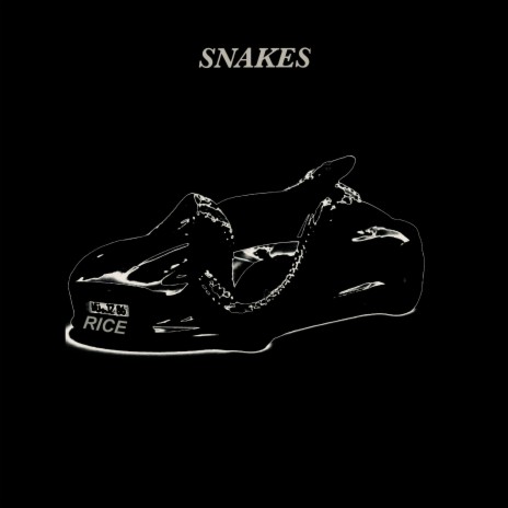 Snakes | Boomplay Music