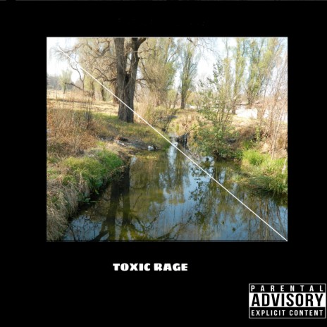 Toxic Rage ft. Jetskyy & Raba Roskam | Boomplay Music