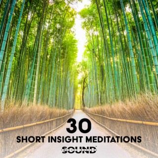 30 Short Insight Meditations: Healthy Mind, Cultivate More Calm Within, Meditation Practice with Headspace, Meditation to Let Go of Stress & Acceptation