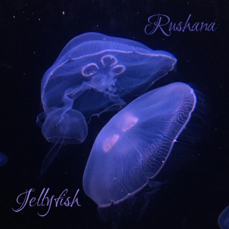 Jellyfish | Boomplay Music