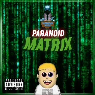 Paranoid Matrix lyrics | Boomplay Music
