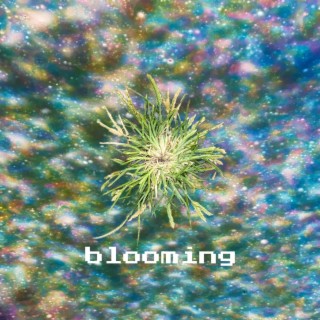 blooming