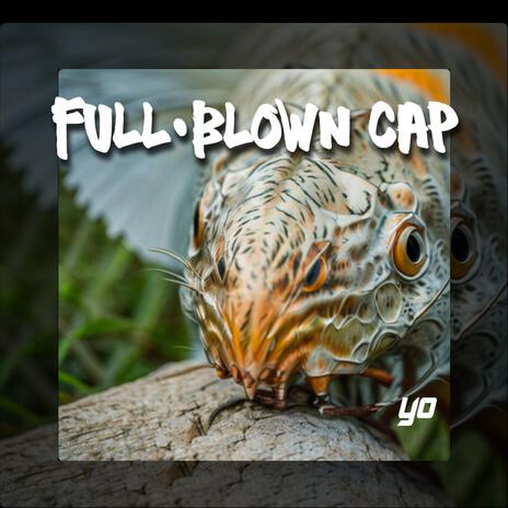 Full-Blown Cap (Radio Edit) | Boomplay Music