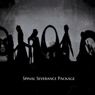 Spinal Severance Package