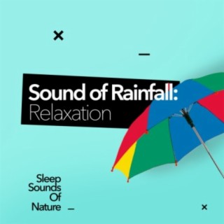 Sound of Rainfall: Relaxation
