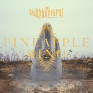 Pineapple King lyrics | Boomplay Music
