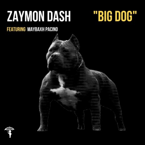 BIG DOG ft. Maybaxh Pacino | Boomplay Music