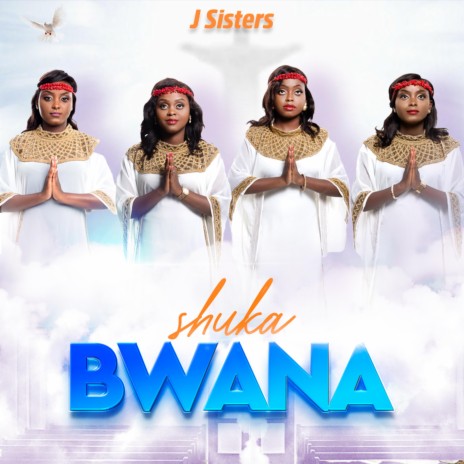 SHUKA BWANA | Boomplay Music