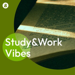 Study&Work Vibes