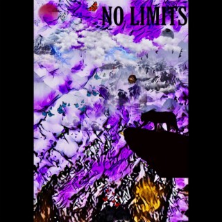 NO LIMITS