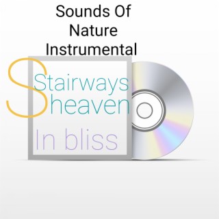 Sounds of Nature Instrumental Stairways Heaven (In Bliss)