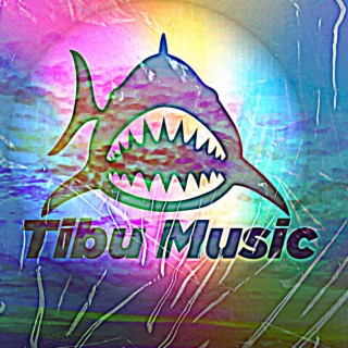 Intrumentales hot Tibu Music Vol.6