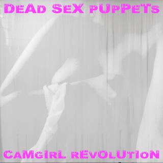 Camgirl Revolution lyrics | Boomplay Music