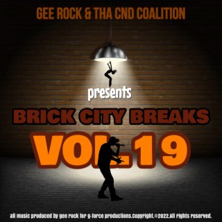 Brick City Breaks, Vol. 19
