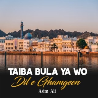 Taiba Bula Ya Wo Dil e Ghamgeen