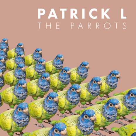 The Parrots | Boomplay Music