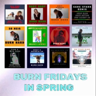 Burn Fridays In Spring