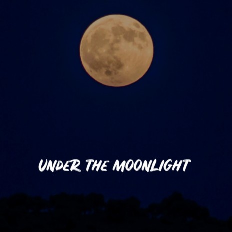 Under the Moonlight | Boomplay Music