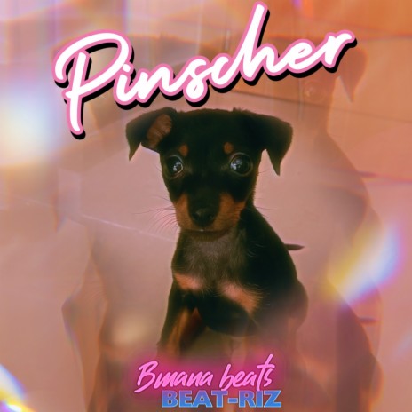 Pinscher ft. Beat-Riz