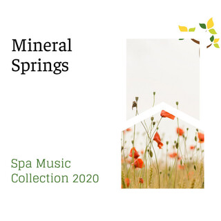 Mineral Springs - Spa Music Collection 2020