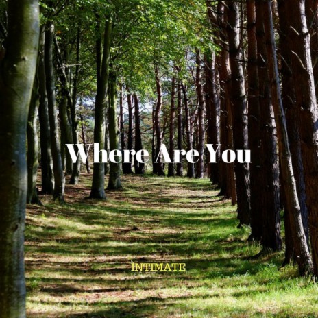 Where Are You | Boomplay Music