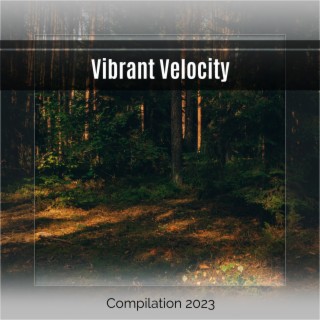Vibrant Velocity