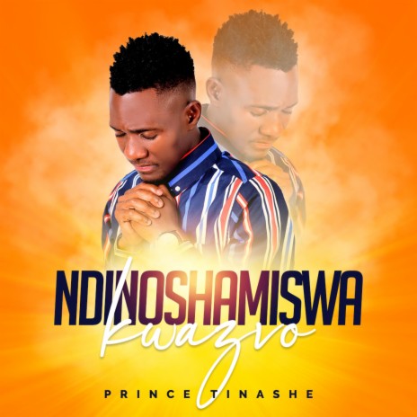 Ndinoshamiswa Kwazvo | Boomplay Music