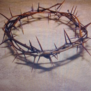 Crown of Thorns