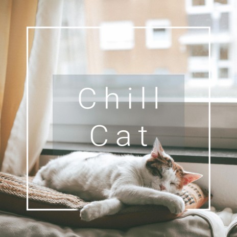 Chill Cat | Boomplay Music