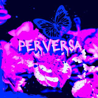 PERVERSA lyrics | Boomplay Music