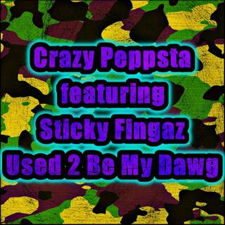 Used 2 Be My Dawg (feat. Sticky Fingaz)