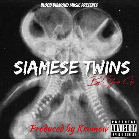 Siamese Twins | Boomplay Music