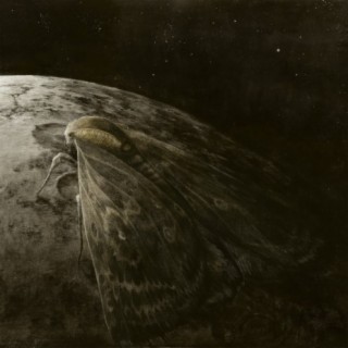 Moth and the Moon