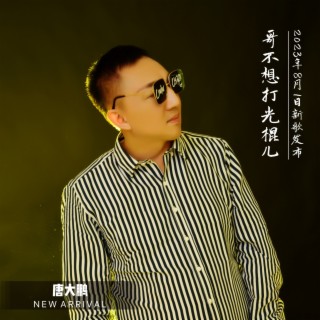 哥不想打光棍儿 lyrics | Boomplay Music