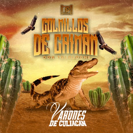 Colmillos de Caimán (Con Tololoche) | Boomplay Music
