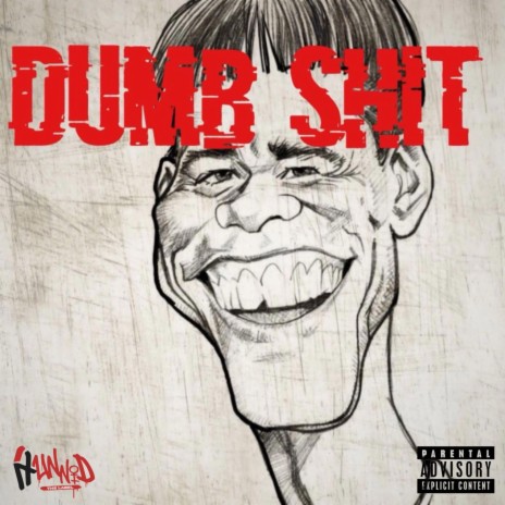 Dumb Shit | Boomplay Music