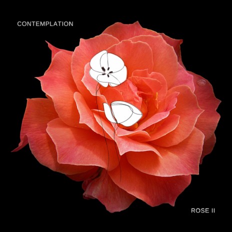 Rose II | Boomplay Music