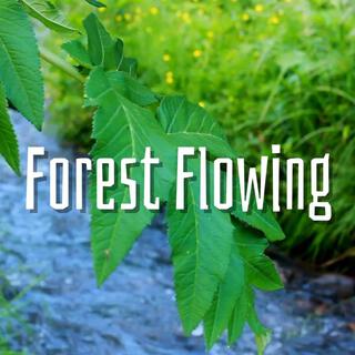 Forest Flowing