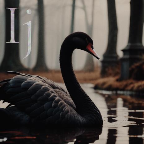 Black swan | Boomplay Music