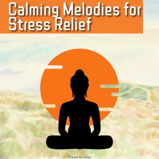 Calming Melodies for Stress Relief and Relaxation After a Busy Day