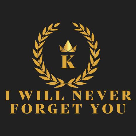 Iwill never forget you | Boomplay Music