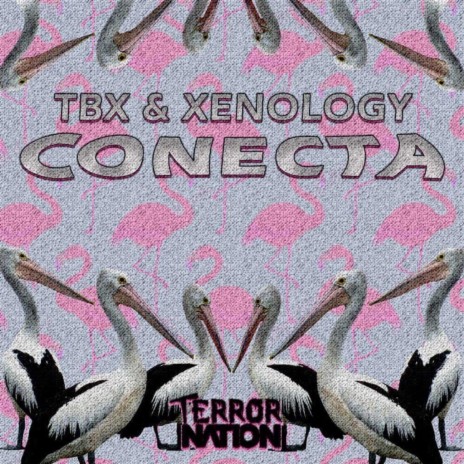 Conecta ft. Xenology | Boomplay Music