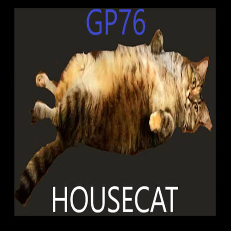 housecat | Boomplay Music